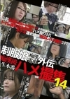 制服娘痴漢電車外伝 痴漢後生本番ハメ撮集 14