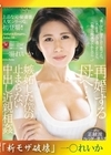 流出物 【極秘流出】モザイク破壊版リメイク 再婚する母へ…嫉妬した僕の止まらない中出し近親相姦 一場れいか