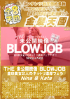 金8天国 THE 未公開映像 BLOWJOB 金8美女2人のネットリ濃厚フェラ Nina＆Kate Nina Kate