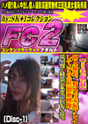 【5名収録！】個人撮影。野外で羞恥プレイしている公然猥褻映像。 (Disc-1)